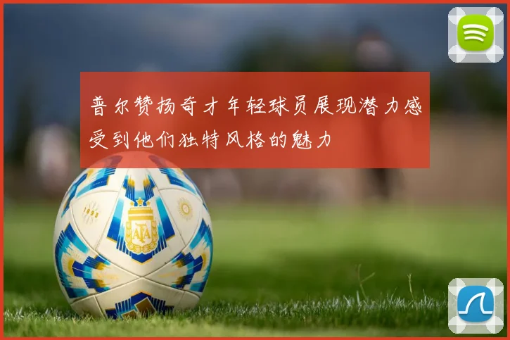 普尔赞扬奇才年轻球员展现潜力感受到他们独特风格的魅力